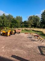 Gutbrod werktuigen, Ophalen, Benzine