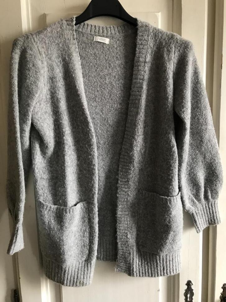 vestje (Next) 116, Kinderen en Baby's, Kinderkleding | Maat 116, Gebruikt, Meisje, Trui of Vest, Ophalen of Verzenden