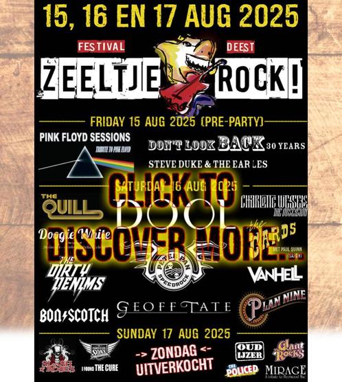 Zeeltje Rock Festival, Tickets en Kaartjes, Evenementen en Festivals, Twee personen