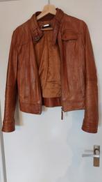 Echt Lederen Dames Jas - Maat S, Bruin, Ophalen of Verzenden, Maat 36 (S), Eddy's Jackets