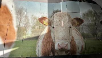 Wanddecoratie koe beschikbaar voor biedingen