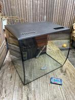 Fluval Aquarium compleet, Dieren en Toebehoren, Vissen | Aquaria en Toebehoren, Ophalen, Zo goed als nieuw, Leeg aquarium