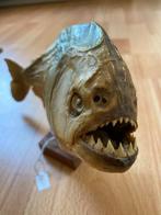 Opgezette Piranha - Uniek Verzamelobject, Antiek en Kunst, Ophalen of Verzenden