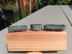 Bonsai schalen mame, Ophalen of Verzenden, Overige soorten, Volle zon
