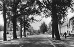 AZ497 Alverna bij Wijchen Graafseweg 1964, Verzamelen, Ansichtkaarten | Nederland, Verzenden, 1960 tot 1980, Ongelopen, Noord-Brabant