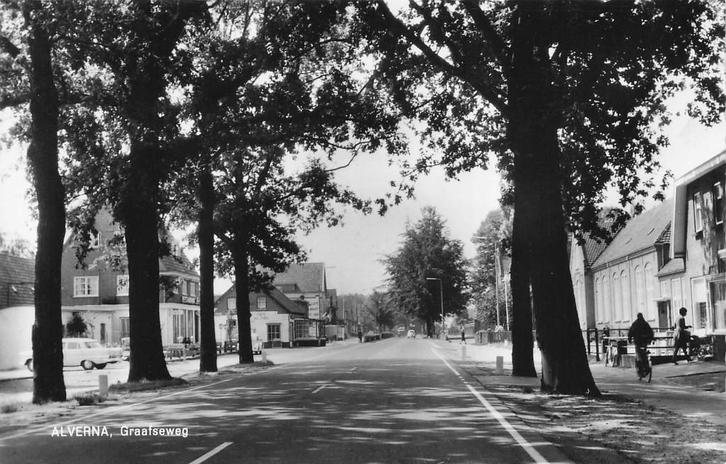 AZ497 Alverna bij Wijchen Graafseweg 1964, Verzamelen, Ansichtkaarten | Nederland, Ongelopen, Noord-Brabant, 1960 tot 1980, Verzenden