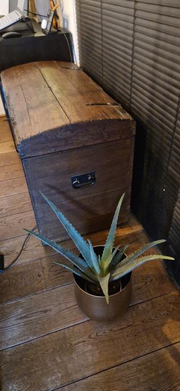 Antieke Bruine Dekenkist - Oud Model met Sleutel beschikbaar voor biedingen