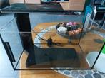 superfish 40L aquarium, Dieren en Toebehoren, Vissen | Aquaria en Toebehoren, Ophalen, Zo goed als nieuw, Leeg aquarium