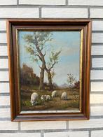 Schilderij schapen - J van Dinten - Certificaat van echtheid, Antiek en Kunst, Ophalen of Verzenden