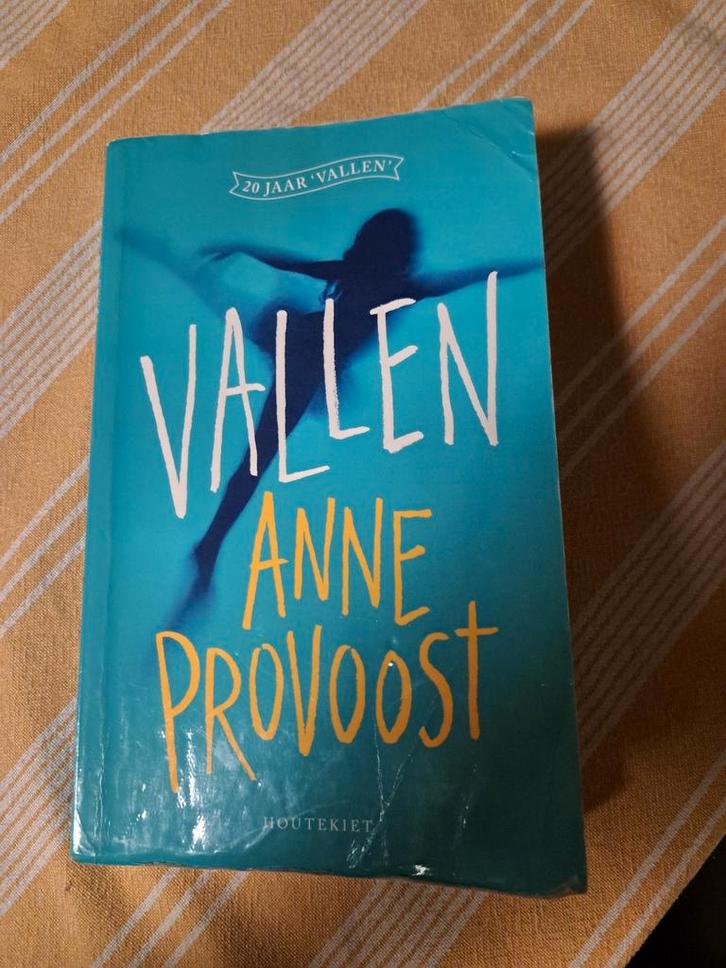 Anne Provoost - Vallen, Boeken, Kinderboeken | Jeugd | 13 jaar en ouder, Zo goed als nieuw, Ophalen of Verzenden