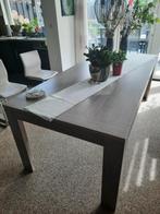 eettafel, Huis en Inrichting, Tafels | Eettafels, Ophalen, Overige materialen, 200 cm of meer, 50 tot 100 cm