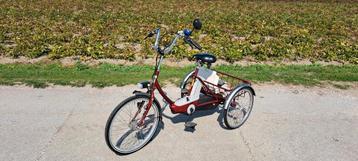 Nijland sunny 3 wiel fiets beschikbaar voor biedingen