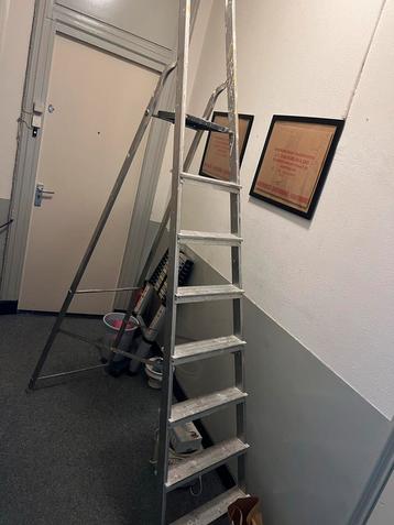 Huishoudtrap 8 Treden met Plateau beschikbaar voor biedingen