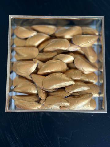Gouden schelpen mosselen goud ketting oorbellen oesters hip beschikbaar voor biedingen