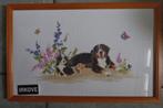 GEBORDUURD BERNER SENNE HOND * IN Lijst *, Verzenden, Nieuw