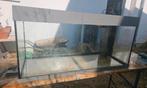 Juwel Rio 180 LED aquarium + Filter (CristalProfi Green Line, Dieren en Toebehoren, Vissen | Aquaria en Toebehoren, Ophalen, Zo goed als nieuw