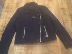 Nieuw, Jack, van Tommy Hilfiger, Kleding | Dames, Jassen | Winter, Tommy Hilfiger, Ophalen of Verzenden, Nieuw, Blauw