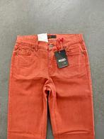 F565 Nieuw: Angels jeans Dolly mt 36/38=S/M broek L30 bruin, Kleding | Dames, Overige kleuren, Nieuw, Ophalen of Verzenden, W28 - W29 (confectie 36)
