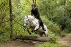 Verzorgpony gezocht verzorger/bijrijder aangeboden, Ophalen of Verzenden, Nieuw