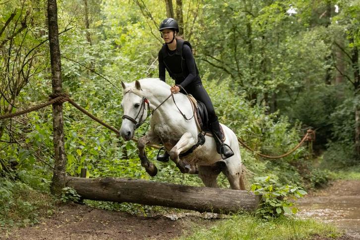 Verzorgpony gezocht verzorger/bijrijder aangeboden, Dieren en Toebehoren, Paarden en Pony's | Verzorgingsproducten, Nieuw, Ophalen of Verzenden