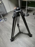 Cartoni T721 Statief / tripod, Ophalen, Zo goed als nieuw, 150 tot 175 cm, Driepoot