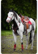 Lease paard aangeboden, Dieren en Toebehoren, Ophalen of Verzenden, Zo goed als nieuw