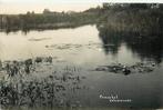 (701-041-007) Eernewoude Prinsenhof, Verzamelen, Ansichtkaarten | Nederland, Verzenden, Friesland