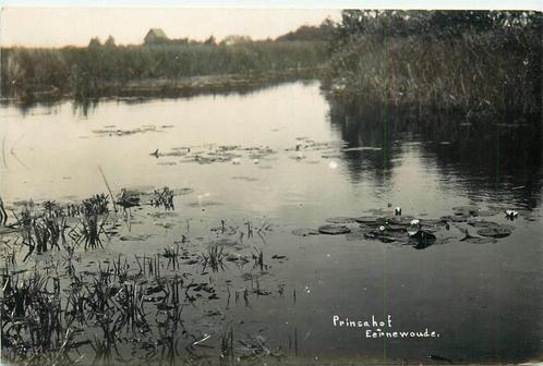(701-041-007) Eernewoude Prinsenhof, Verzamelen, Ansichtkaarten | Nederland, Friesland, Verzenden