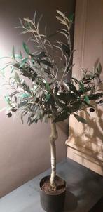 Kunst olijfboompje, Huis en Inrichting, Ophalen of Verzenden