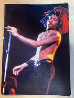 Terence Trent d'Arby - Symphonic Damnation Tour Book (1993), Ophalen of Verzenden, Gelezen, Artiest