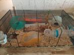Hamster kooien farplast gratis, Dieren en Toebehoren, Kooi, Minder dan 75 cm, Zo goed als nieuw, Hamster