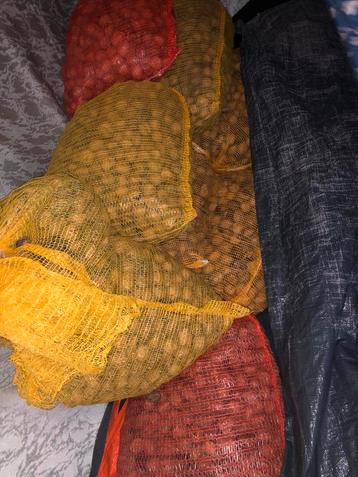 Verse Walnoten van Eigen Boomgaard beschikbaar voor biedingen