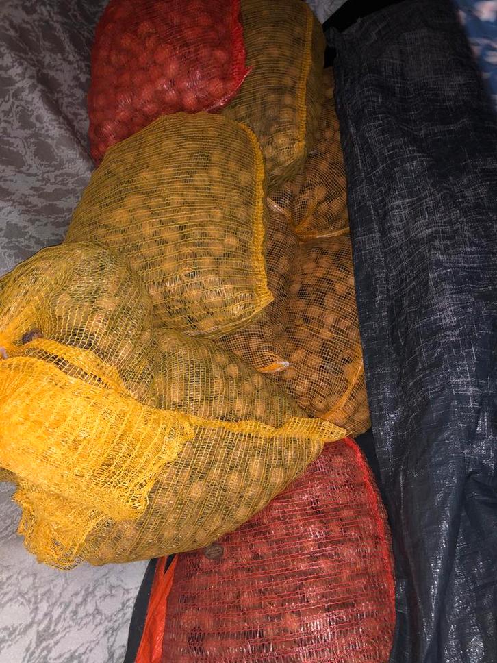 Verse Walnoten van Eigen Boomgaard, Diversen, Levensmiddelen, Ophalen of Verzenden