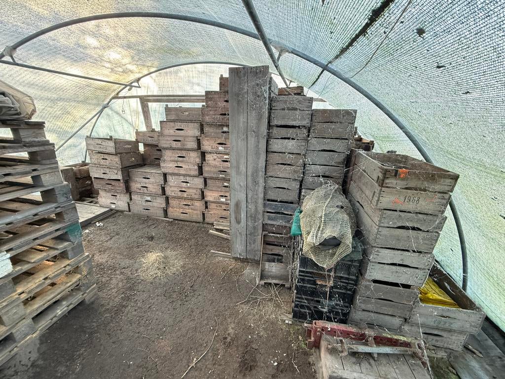 Te koop: oude fruit kratjes, Doe-het-zelf en Verbouw, Kratten en Dozen, Ophalen, Gebruikt, 40 tot 60 cm, 50 tot 75 cm