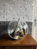Grote vissenkom, Dieren en Toebehoren, Vissen | Aquaria en Toebehoren, Ophalen, Gebruikt, Leeg aquarium