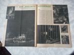 Artis. Nacht. Een mislukte reportage. 1955., Verzenden, 1940 tot 1960, Nederland, Knipsel(s)