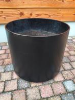 Grote bloempot plantenbak plantenpot op wielen.
Diameter 48, Tuin en Terras, Bloembakken en Plantenbakken, Ophalen, Tuin, Kunststof