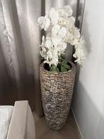 Schelpenvaas hoog met kunst orchidee, Ophalen, Gebruikt, Binnen