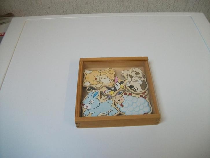 Magneet diertjes 10 stuks, Kinderen en Baby's, Speelgoed | Houten speelgoed, Gebruikt, Ophalen of Verzenden