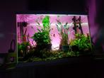 Mooi compleet aquarium 60 liter Superfish tropical kit 70, Dieren en Toebehoren, Vissen | Aquaria en Toebehoren, Ophalen, Zo goed als nieuw