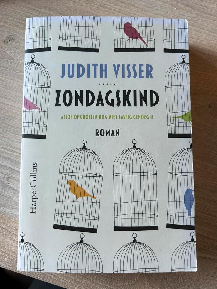 Zondagskind - Judith Visser, Boeken, Literatuur, Gelezen, Nederland, Ophalen of Verzenden