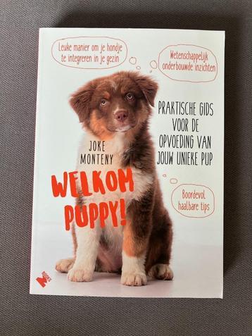 Praktische gids voor de opvoeding van jouw unieke pup beschikbaar voor biedingen