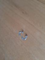 Leuke zilveren oorbellen., Sieraden, Tassen en Uiterlijk, Oorbellen, Hangers, Ophalen of Verzenden, Zo goed als nieuw, Zilver