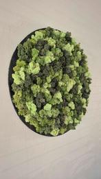 mosschilderij, Ophalen of Verzenden, Nieuw