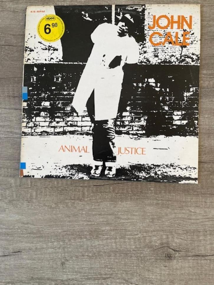MAXI - John Cale  - Animal Justice - 1977, Cd's en Dvd's, Vinyl | Rock, Gebruikt, Poprock, 12 inch, Ophalen of Verzenden