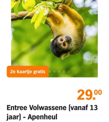 7x volle spaarkaarten voor gratis uitjes beschikbaar voor biedingen