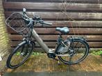 Pegasus Ravenna EVO 7F Belt 2025 - 625 Wh dames model, Fietsen en Brommers, Zo goed als nieuw, 47 tot 51 cm, 50 km per accu of meer