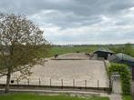 Pensionstalling Westwoud, Dieren en Toebehoren, Stalling en Weidegang, Weidegang, 2 of 3 paarden of pony's