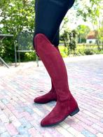 Rijlaarzen Celeris suède bordeaux (mt 42), Dieren en Toebehoren, Paardrijkleding, Dressuur, Nieuw, Ophalen of Verzenden, Dames