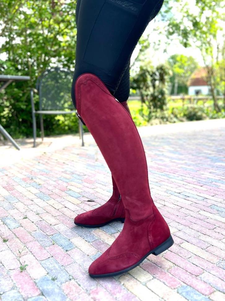 Rijlaarzen Celeris suède bordeaux (mt 42), Dieren en Toebehoren, Paardrijkleding, Nieuw, Dames, Schoeisel, Dressuur, Ophalen of Verzenden